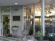 Ｆｌｏｒｅｒｉａ・Ｎｉｒｅ（フロレリア・ニレ）