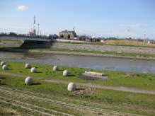 公園裏の矢作川