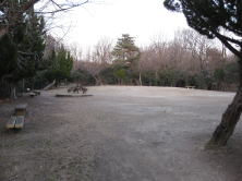 自然豊かな公園
