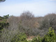 展望台から見た景色