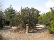 頂上（見はらしの丘）