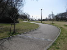 新海池公園小路
