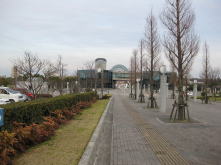 中央エントランス