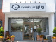 DOG HOUSE �ۂ�