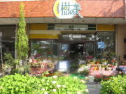 �t���[���X�g ���̔�