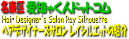 ヘアデザイナーズサロン レイシルエットの紹介
