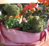 アニマルトピアリー