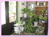 さりげなさを演出