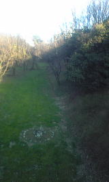 大津通りから見た御堀